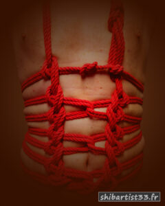 shibari artist rigger bordeaux france