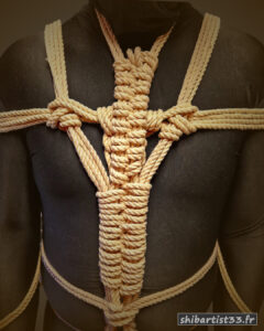 shibari artist rigger bordeaux france