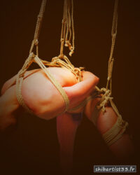 shibari artist rigger bordeaux france