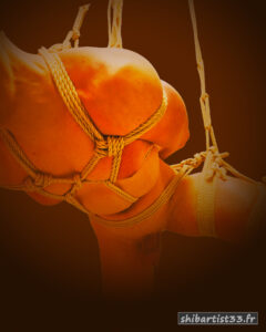 shibari artist rigger bordeaux france